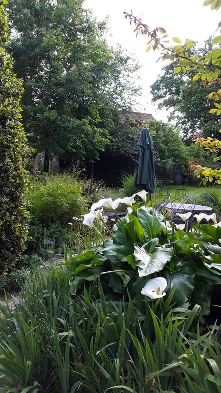 La Gentilhommiere Bed & Breakfast Chantepie Dış mekan fotoğraf